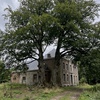 portfolio-image