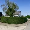 portfolio-image